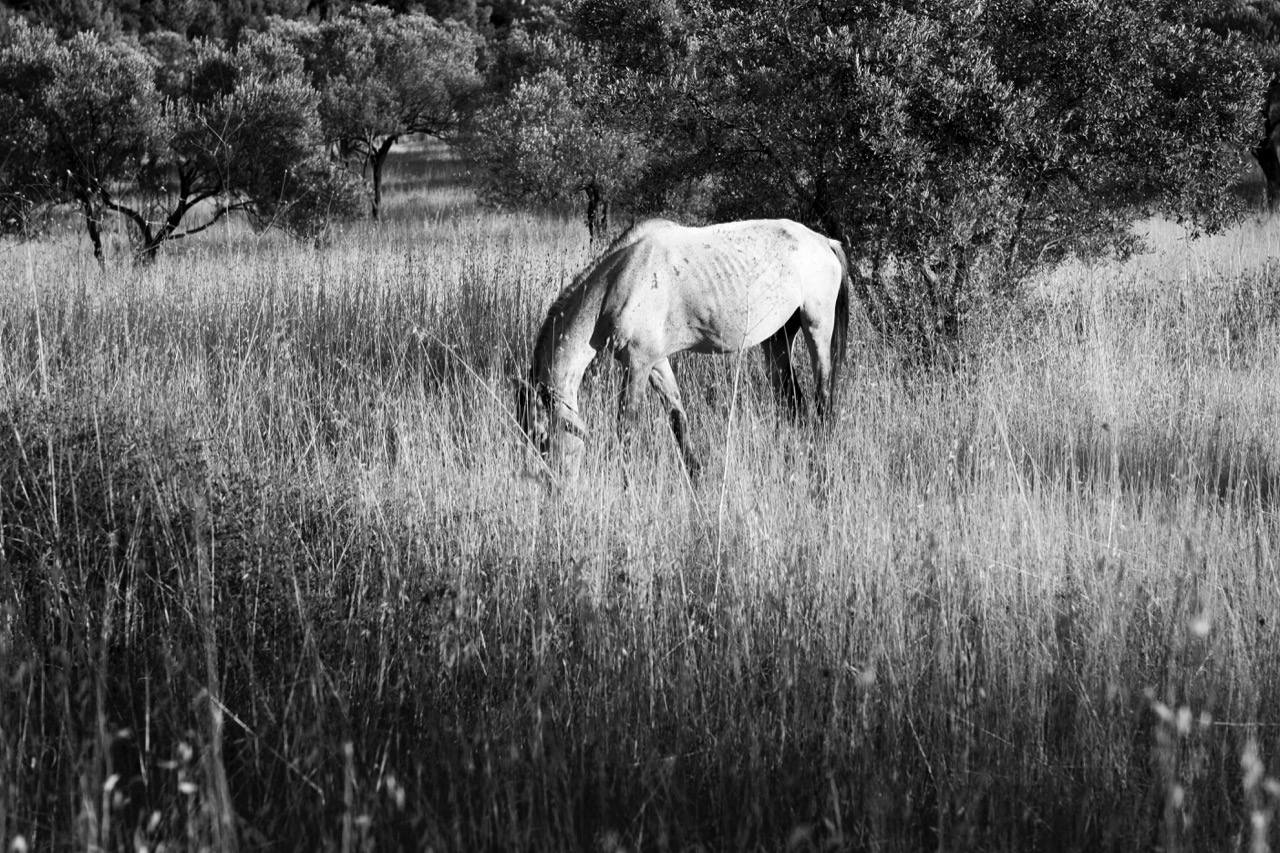 Tuncay Dersinlioğlu